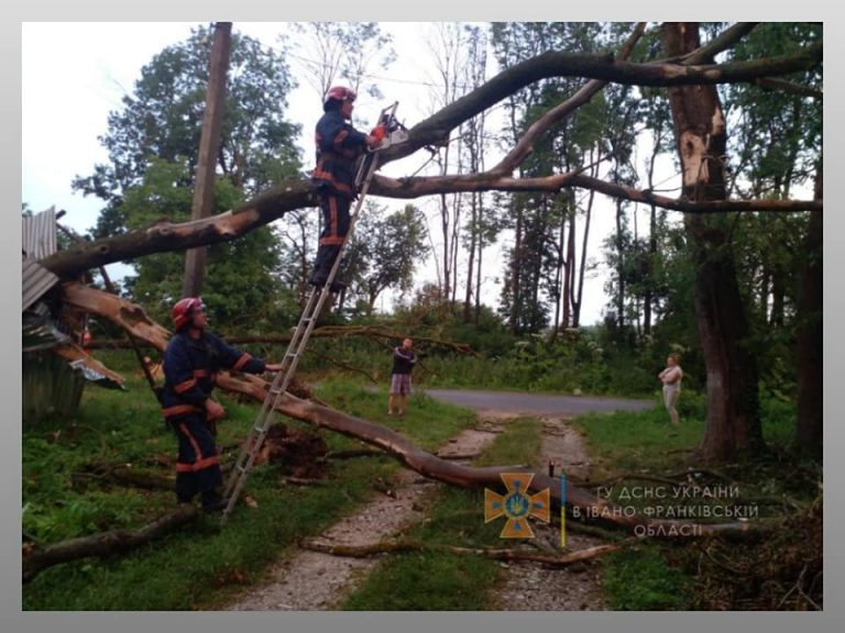 Рятувальники розчищають Рогатинщину після буревію ФОТО