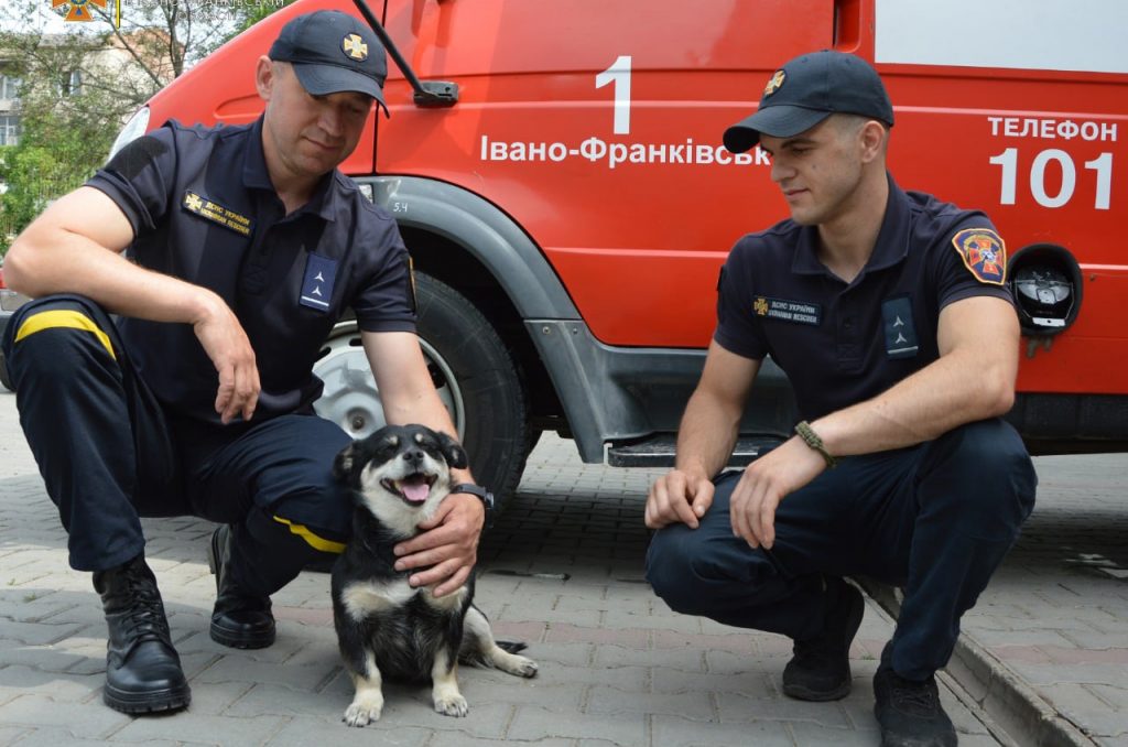 Тушканчик: Історія чотирилапого друга франківських рятувальників ФОТО