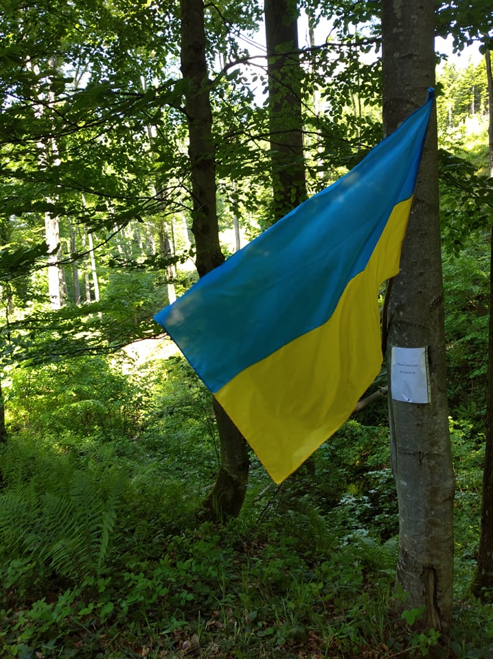 Засекречене місце таборування бійців УПА віднайшли на Прикарпатті ФОТО