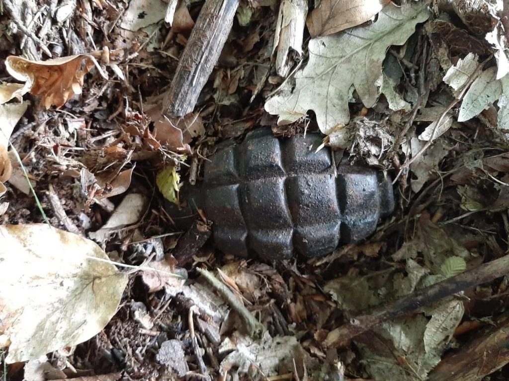 У лісі на на Прикарпатті знешкодили ручну гранату ФОТО