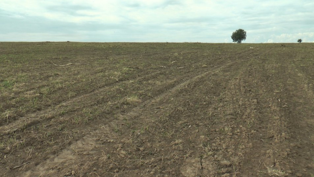 захопленні