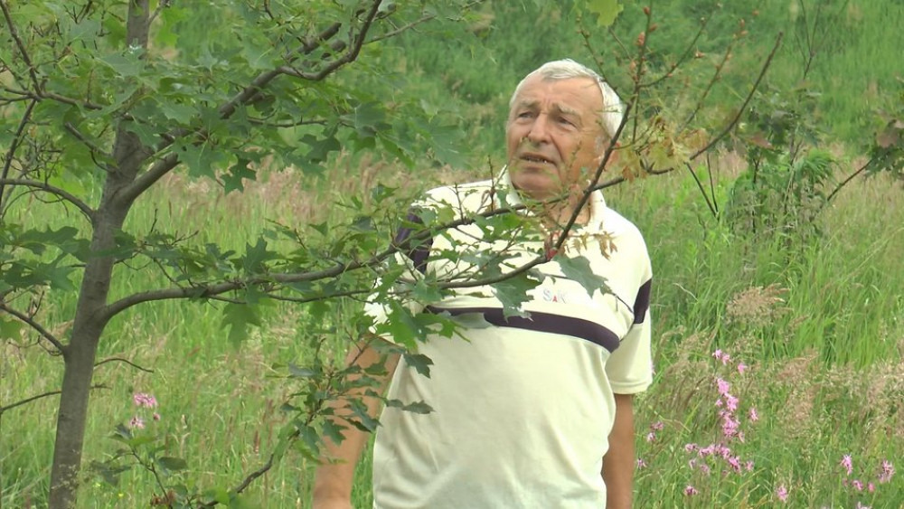 захопленні