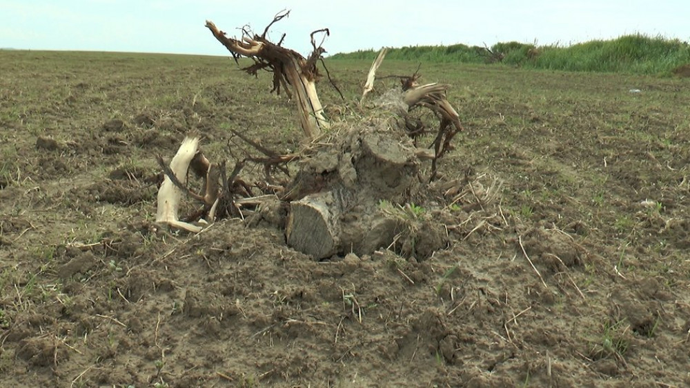 захопленні