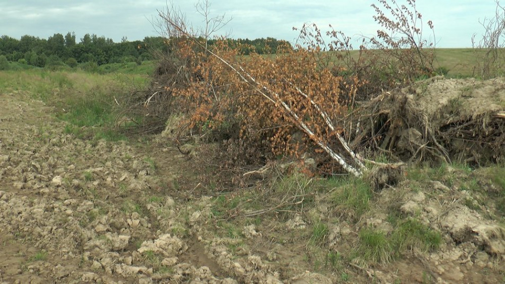 захопленні