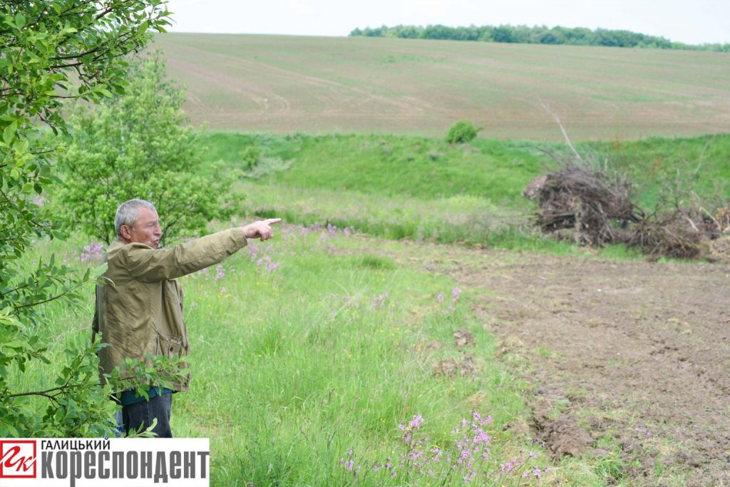 Агрофірма незаконно захопила у літнього прикарпатця шмат землі та знищила кілька сотень дерев ФОТО