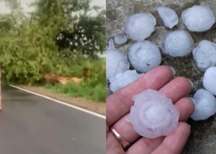 Прикарпаття накрило велетенським градом ФОТО та ВІДЕО