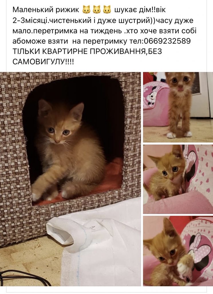самотні