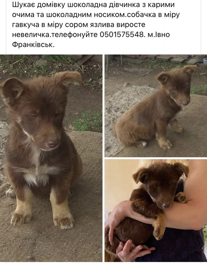 самотні