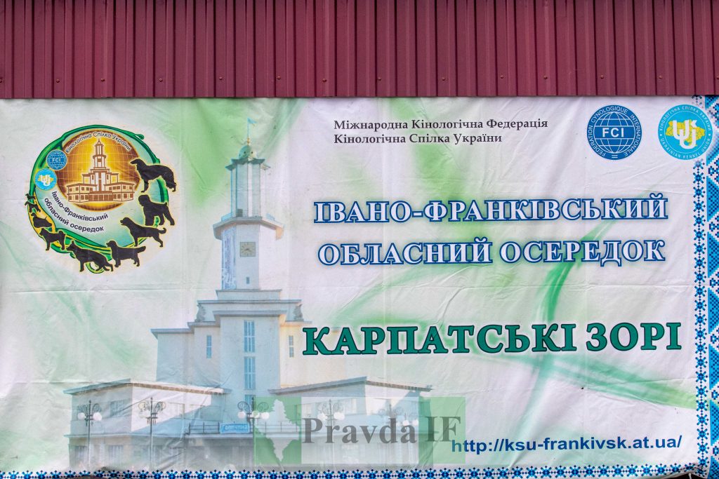 міжнародна