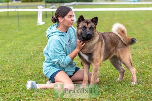 У Франківську відбулася міжнародна виставка собак "Карпатські Зорі" ФОТОРЕПОРТАЖ