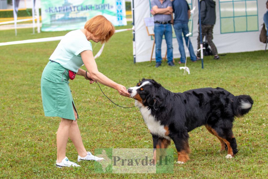 міжнародна