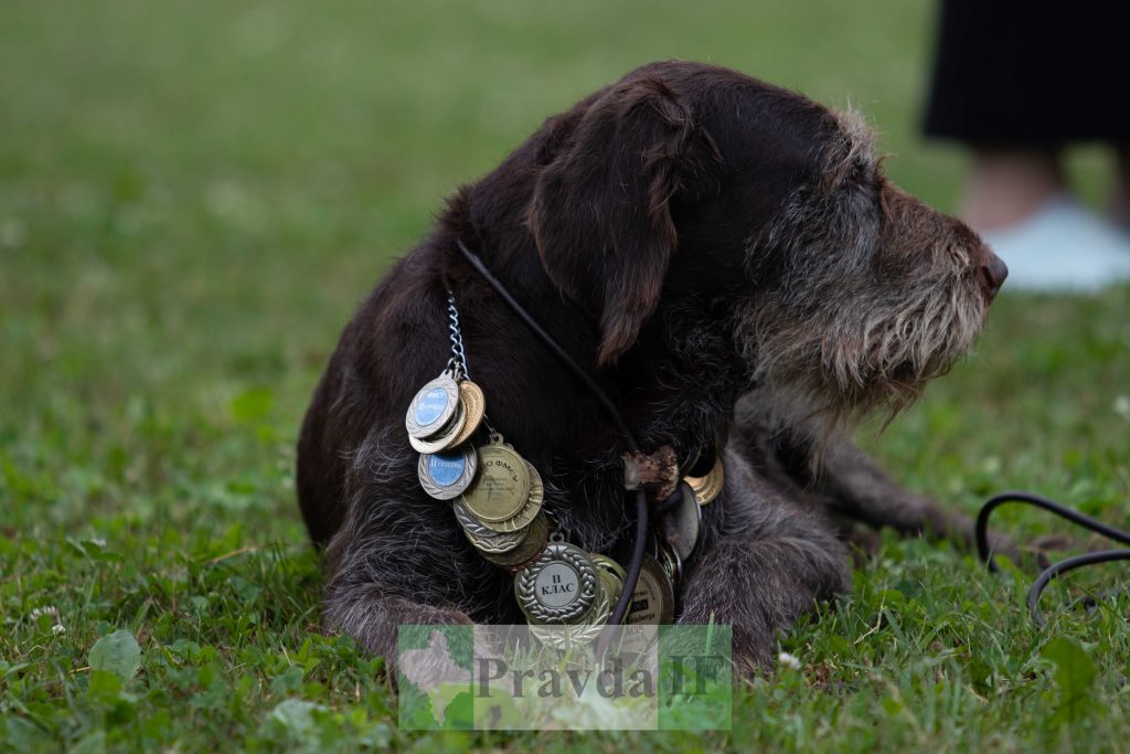 міжнародна