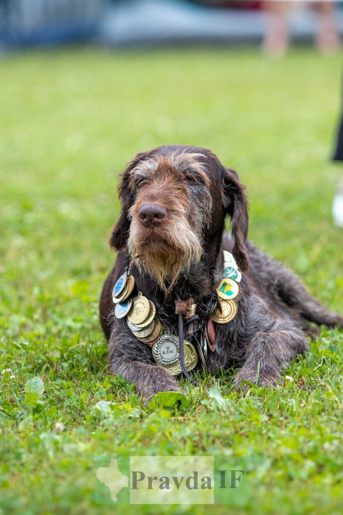 міжнародна