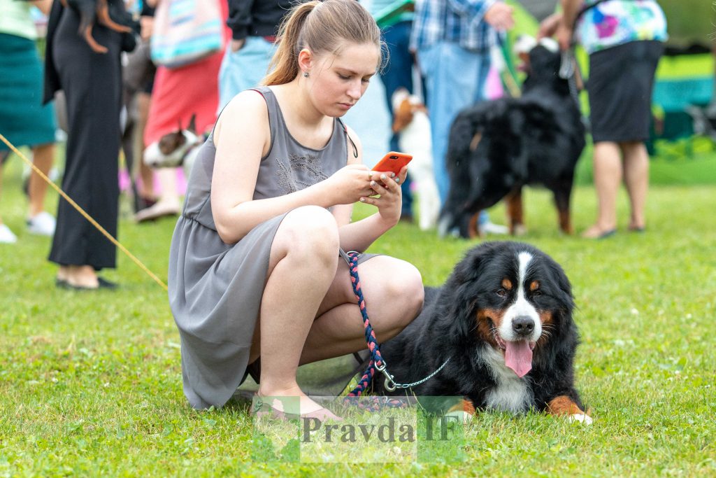 міжнародна