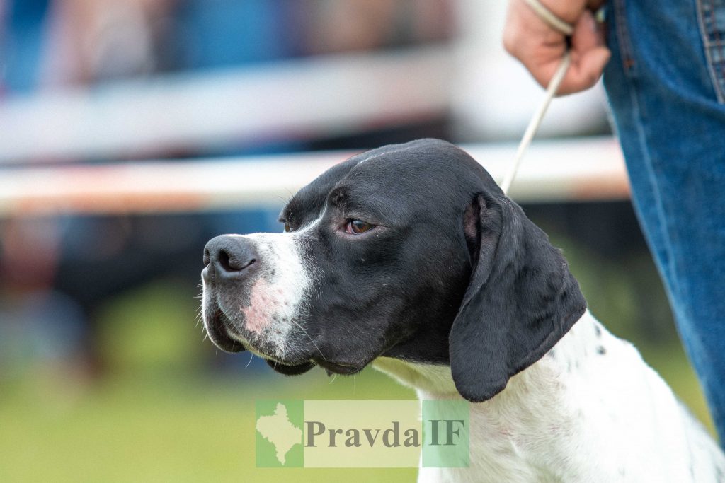 міжнародна