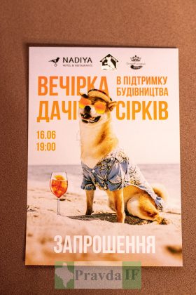 У Івано-Франківську проведуть Вечірку на підтримку безпритульних собак ФОТОРЕПОРТАЖ