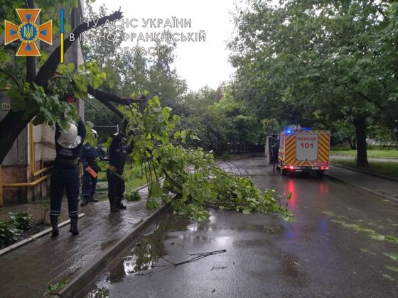 Повалені дерева та затоплений житловий будинок: негода завдала клопотів франківським рятувальникам