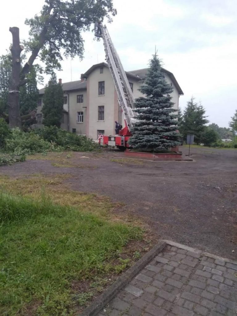 зрізали