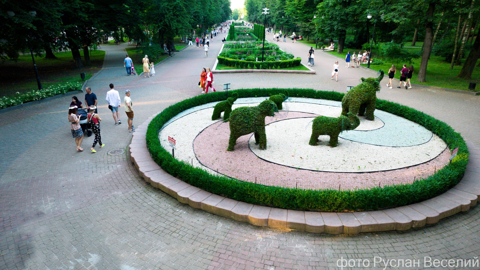 Фотограф показав всю красу міського парку та озера Франківська з висоти ФОТО