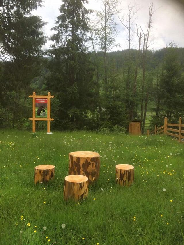 На Прикарпатті в лісництві оновили зону відпочинку ФОТО