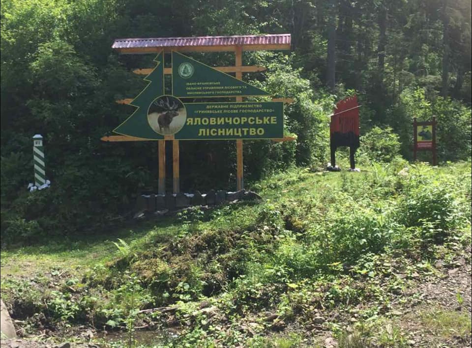 лісництва