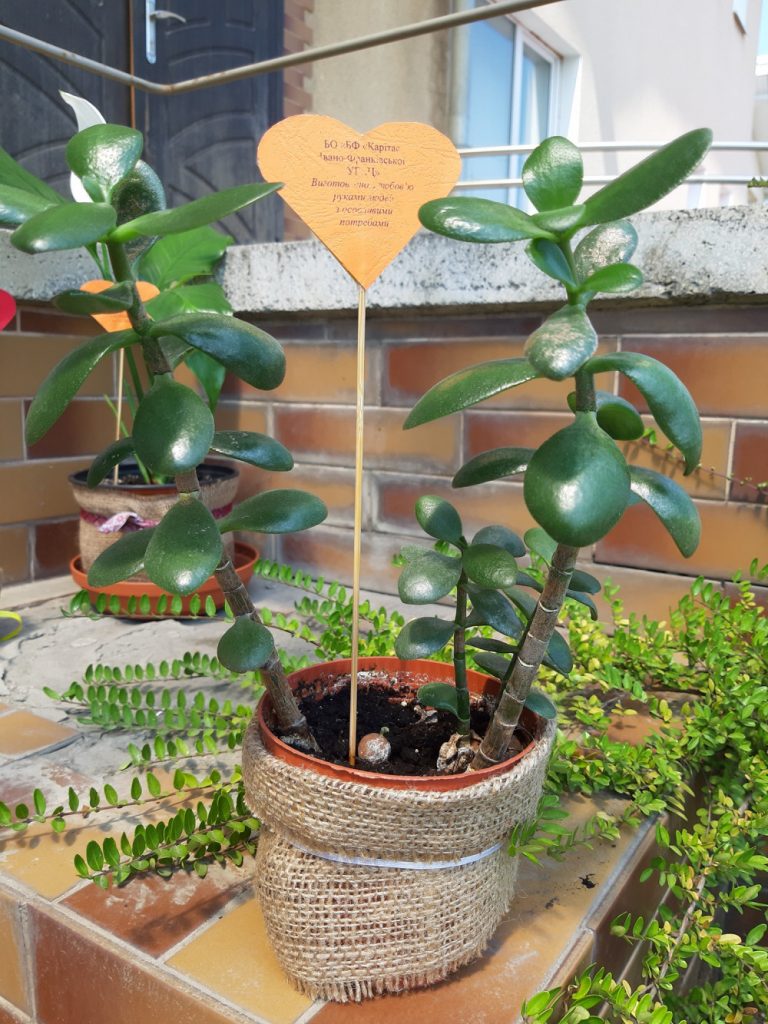 інвалідністю