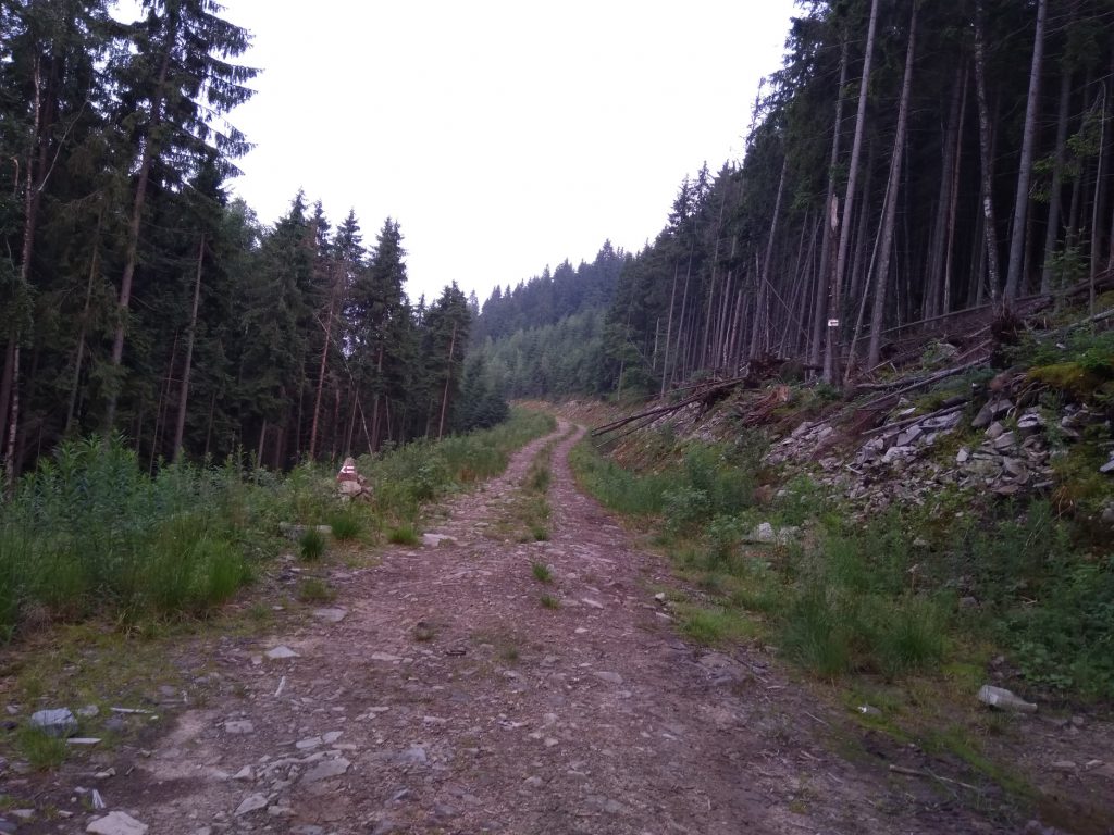 УПА