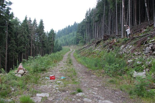 На Прикарпатті лісозаготівельники зруйнували вантажівками нову дорогу до меморіалу УПА ФОТО