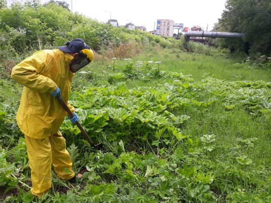 Франківські МАРСіани святкують свій четвертий день народження ФОТО