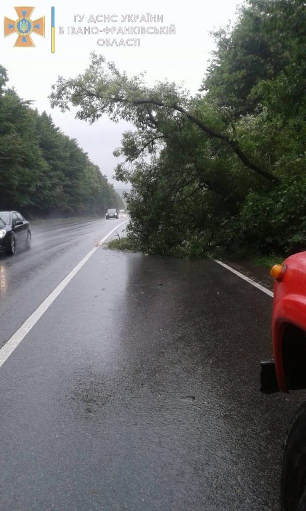 Дерево, що впало на дорогу, заблокувало рух автотранспорту в Ямницькій громаді ФОТО