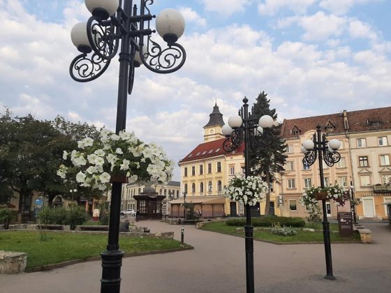 Франківськ витратив 483 тисячі гривень на горщики з сульфініями ФОТО