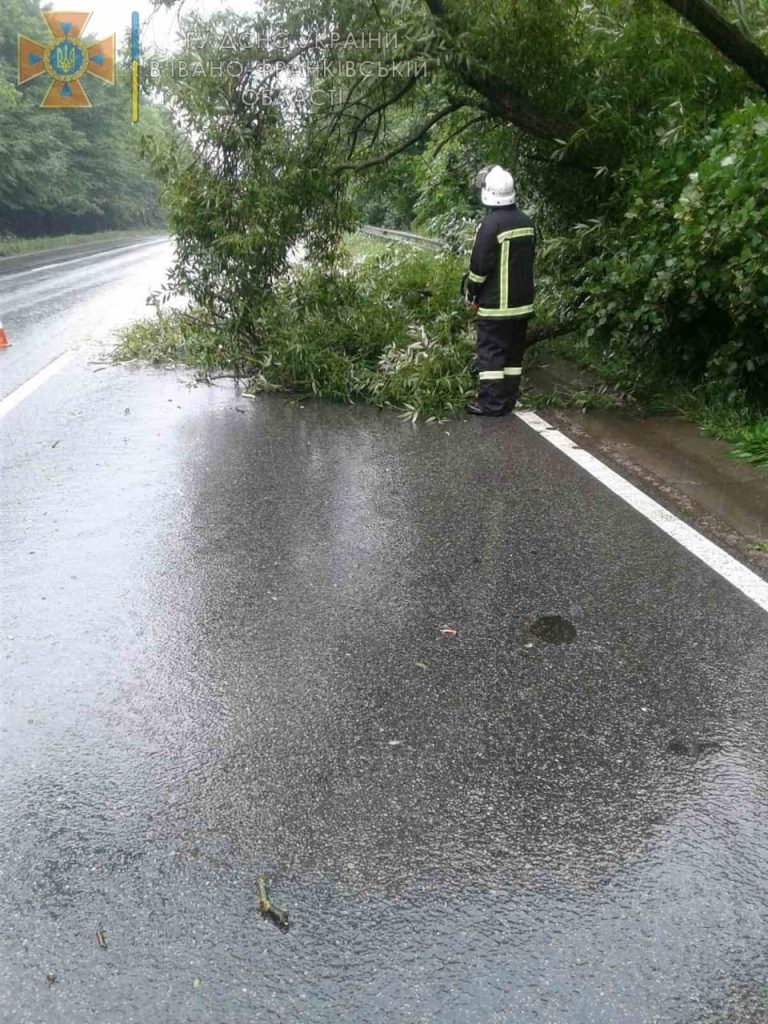 Дерево, що впало на дорогу, заблокувало рух автотранспорту в Ямницькій громаді ФОТО