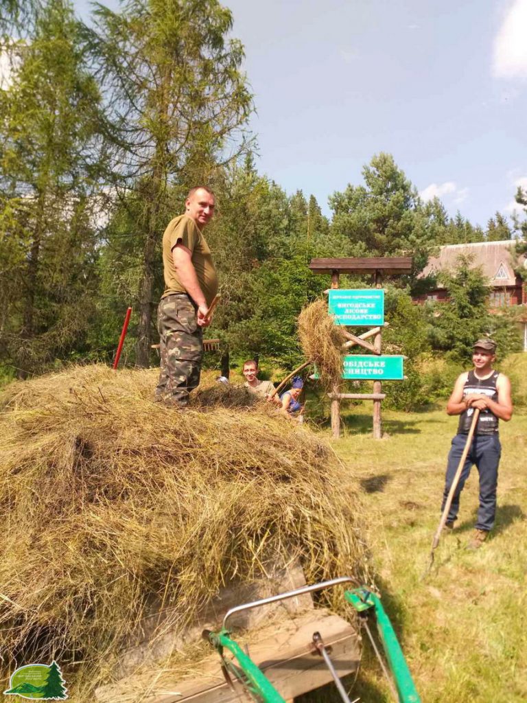 Лісівники Прикарпаття готують кормову базу для диких тварин