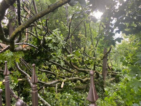 Повалені дерева та перекриті гіллям вулиці: раптовий буревій наробив біди на Прикарпатті ФОТО