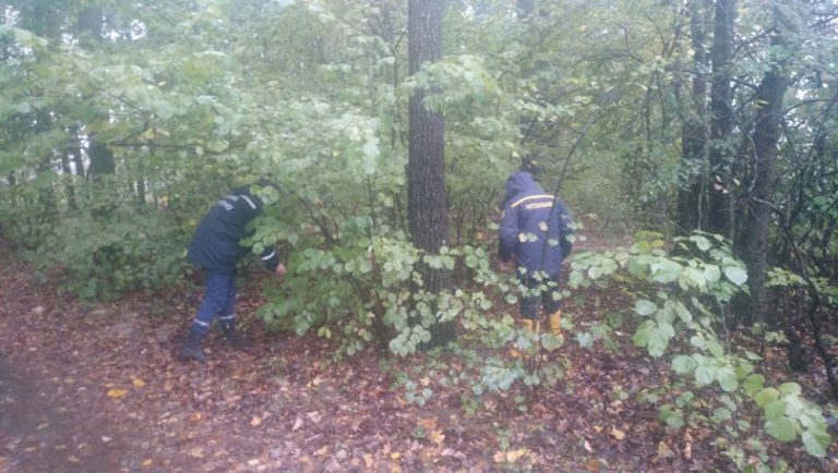 На Косівщині тривали пошуки чоловіка, який пішов у ліс та не повернувся