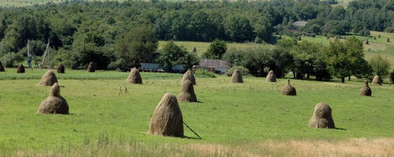 Прикарпатець розповів про відкриття ринку землі