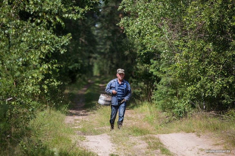 Знайшовся дідусь, якого прикарпатські рятувальники всю ніч шукали у лісі