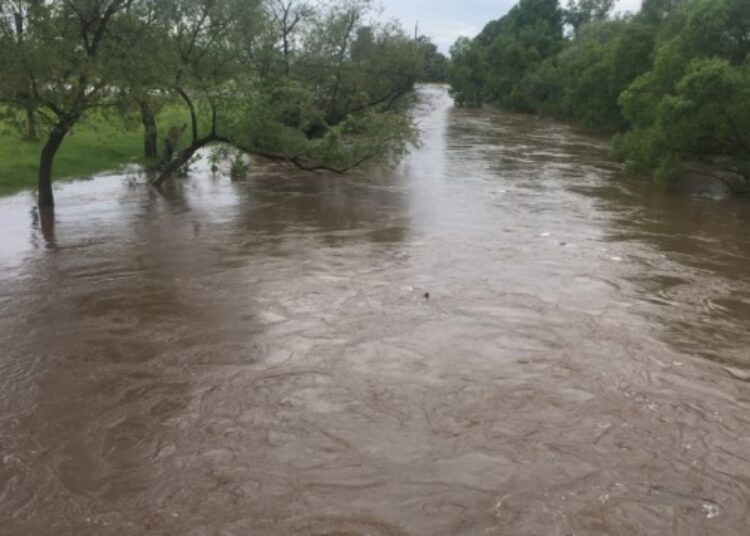 На Прикарпатті вода у Пруті піднялась на метр - є загроза паводку ВІДЕО