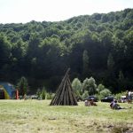 патріотичної