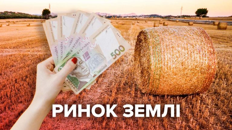 В Україні відкрився ринок землі: що варто знати прикарпатцям