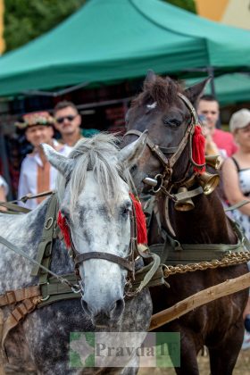 У Косові відбувся унікальний показ гуцульської моди "Лудинє-Фамілія" ФОТОРЕПОРТАЖ