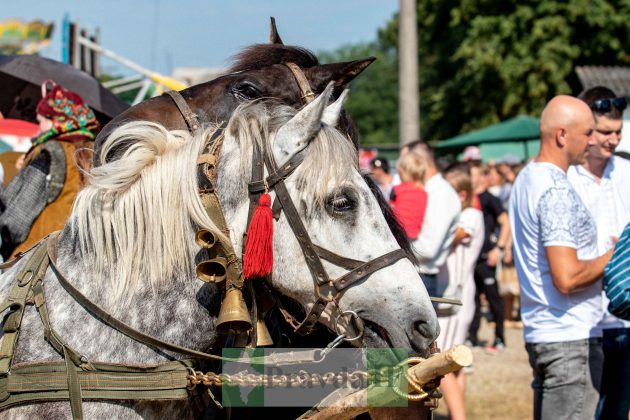 У Косові відбувся унікальний показ гуцульської моди "Лудинє-Фамілія" ФОТОРЕПОРТАЖ