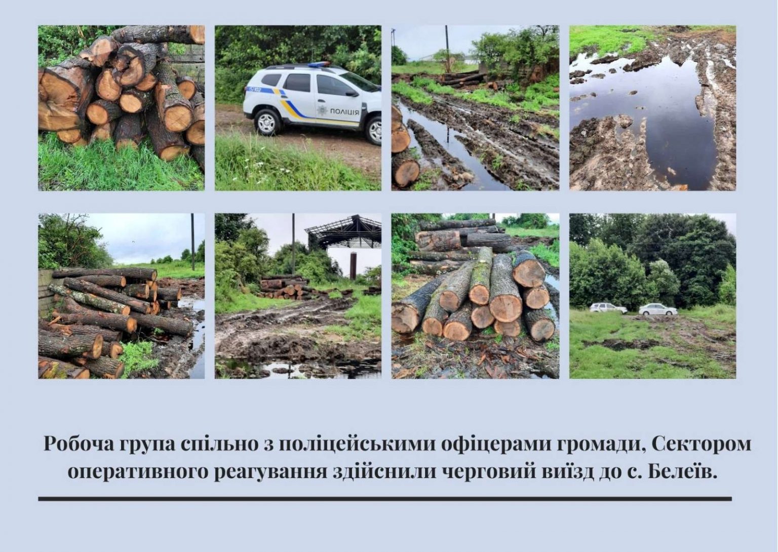 Мер Долини обіцяє боротись з масовими вирубками лісу