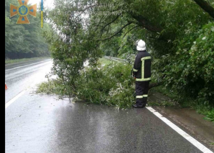 Дерево, що впало на дорогу, заблокувало рух автотранспорту в Ямницькій громаді ФОТО