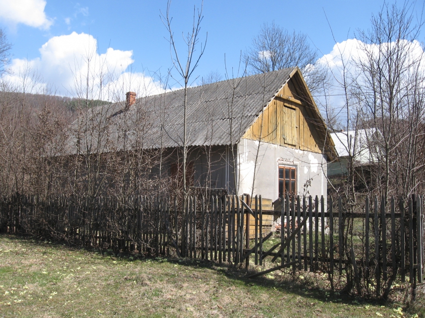 На Косівщині з аукціону продадуть ветлікарню