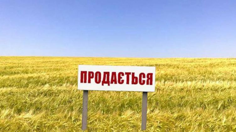 В Івано-Франківську продали з молотка дві земельні ділянки