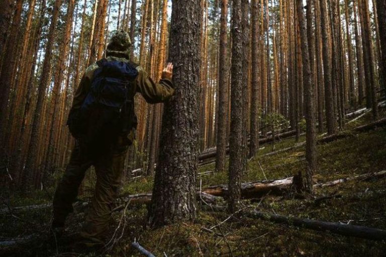 Прикарпатські рятувальники радять, як не заблукати у лісі ВІДЕО