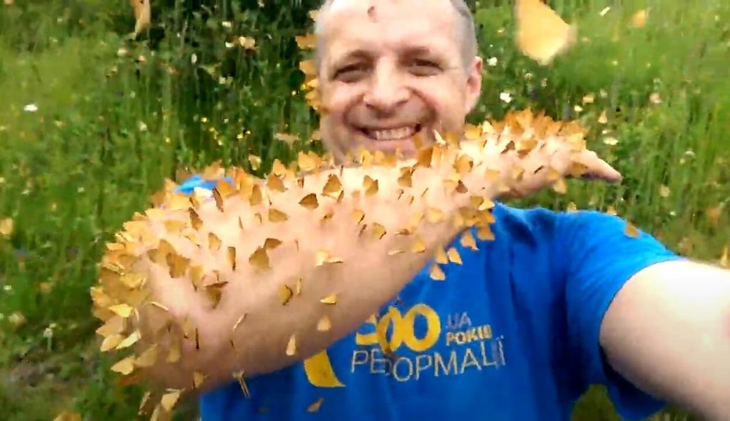 У Карпатах сотні метеликів “нападають” на туристів ВІДЕО