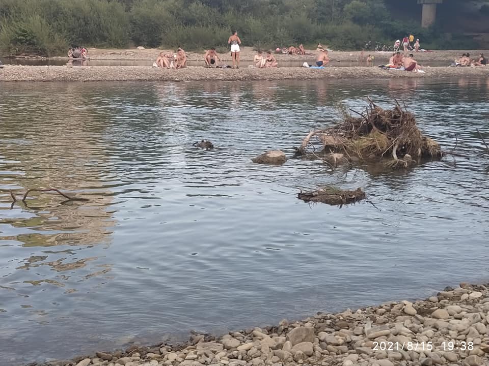 В руслі Бистриці біля імпровізованого пляжу виявили багато прутів арматури ФОТО