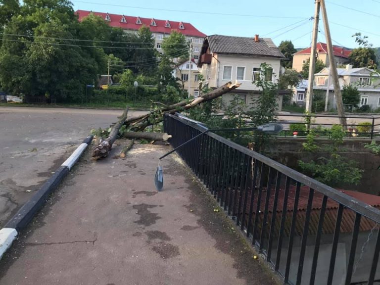 Косівщиною пройшлася негода: шквальний вітер ламав та корчував дерева ФОТО